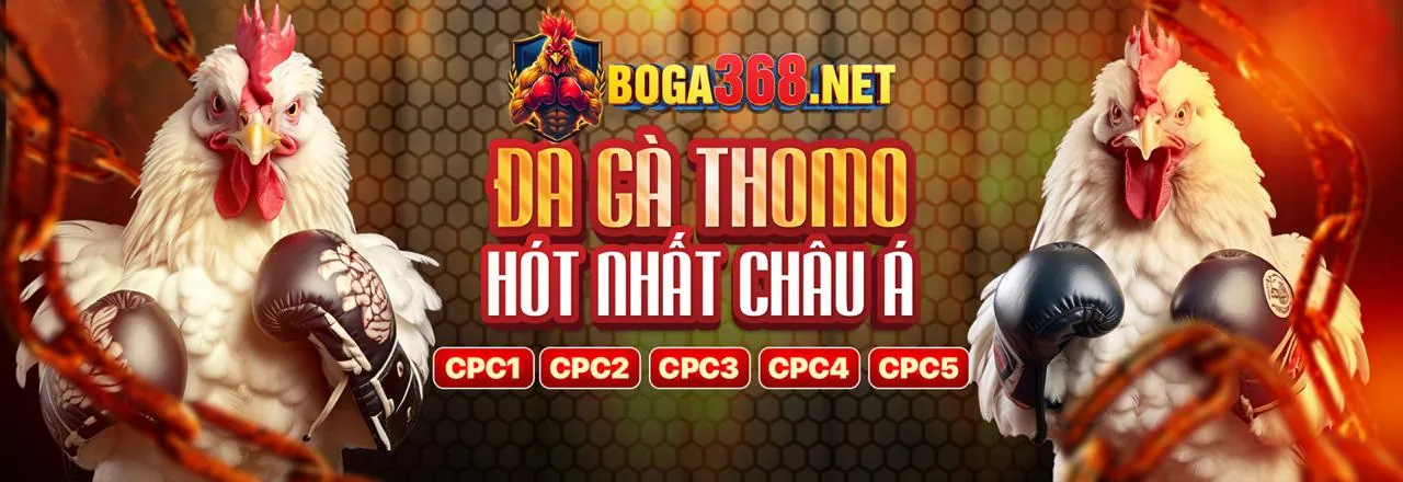 Sân đấu đá gà trực tuyến AXX88 Game